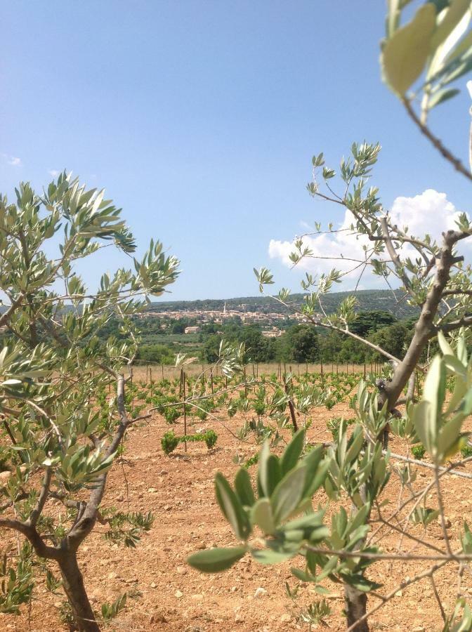 Le Vieux Portail Bed and Breakfast Saint-Saturnin-les-Apt Εξωτερικό φωτογραφία